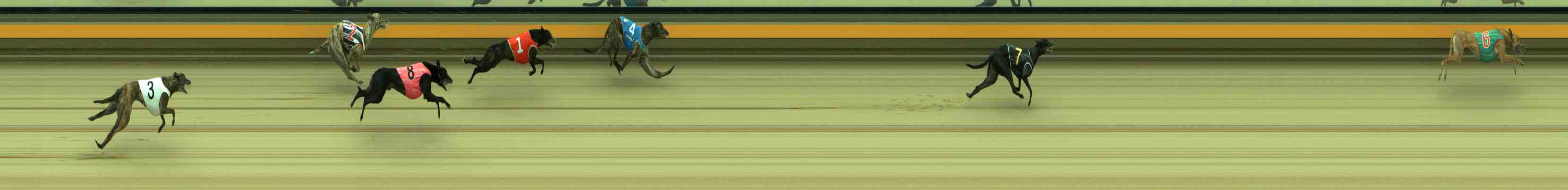 Race result finish photo